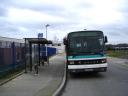 DSC01268.JPG